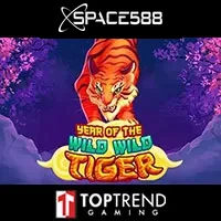 slot Year Of The Wild Wild Tiger TTG